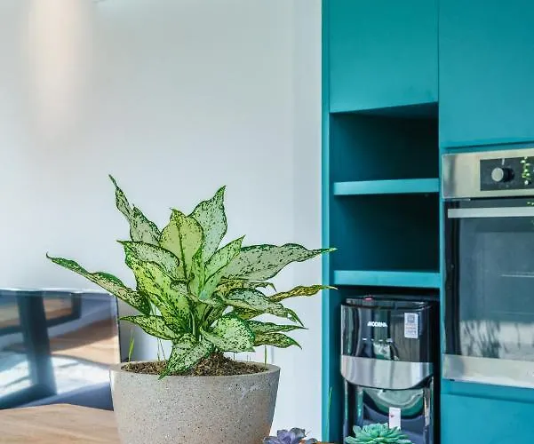 Besso Padonan - Modern & Minimalist 2br In Canggu! Villa